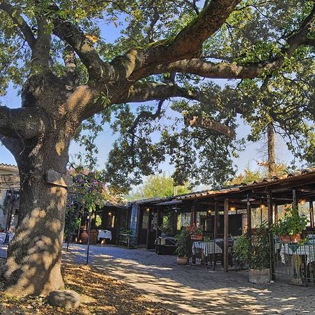 La Vecchia Quercia Bed and Breakfast Selci  Εξωτερικό φωτογραφία