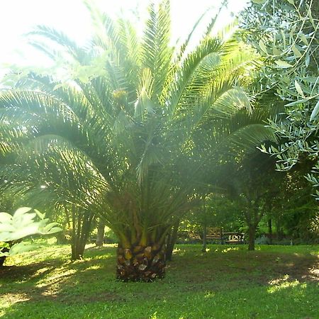 La Vecchia Quercia Bed and Breakfast Selci  Εξωτερικό φωτογραφία