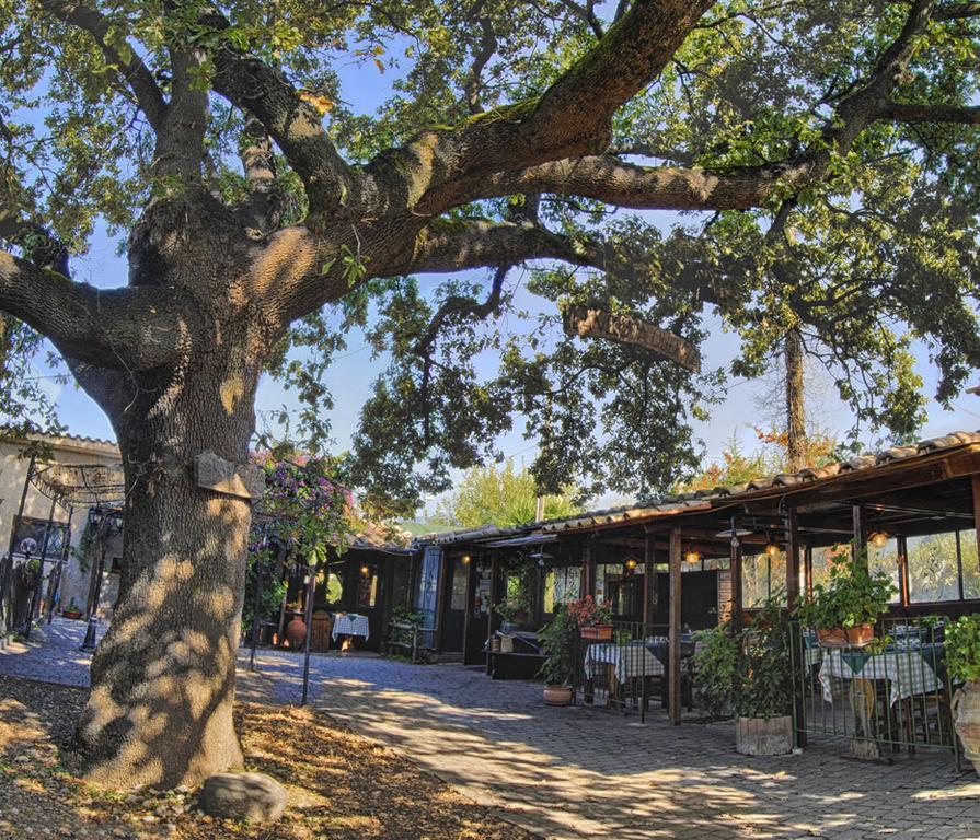La Vecchia Quercia Bed and Breakfast Selci  Εξωτερικό φωτογραφία