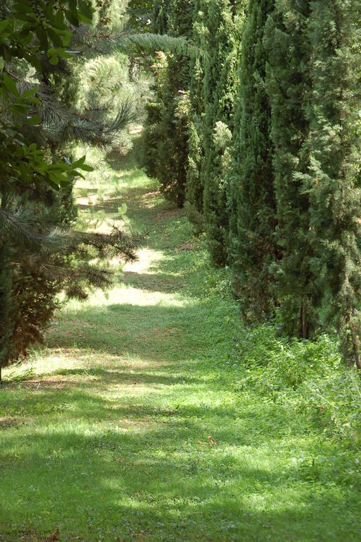 La Vecchia Quercia Bed and Breakfast Selci  Εξωτερικό φωτογραφία