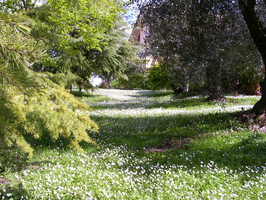 La Vecchia Quercia Bed and Breakfast Selci  Εξωτερικό φωτογραφία
